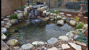 Backyard Pond