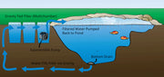 What You Need to Know About Pond Filtration?