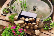 Beautify by adding natural elements such as lighting, moss and plants.