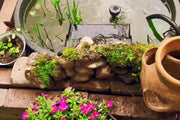 When releasing koi: Place a warm water adaptation bag in advance and release it slowly.