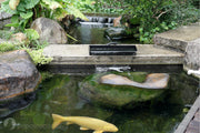 Reserve the positions for the filter box and the water pump.