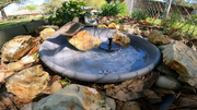 Small wildlife water stations
