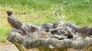 Outdoor Bird Bath