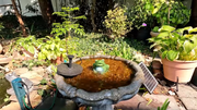 Courtyard Mini Fountain